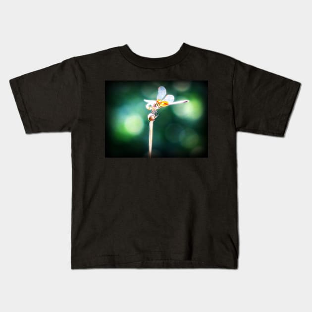 dragonfly Kids T-Shirt by wildmagnolia